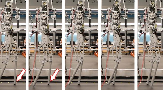הדגמה של הליכה דינמית של רובוט דו-רגלי על משטחים חלקים